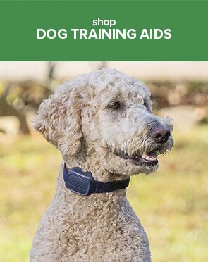 Dog Training Aids